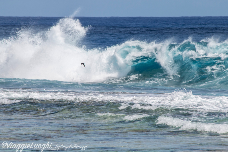 Atiu Isole Cook Oct 2023 – 0426