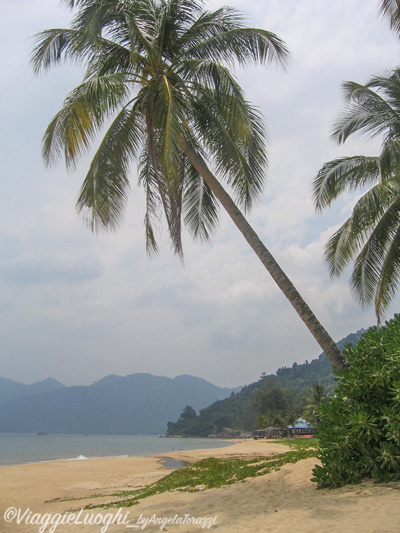 Malesia 2006 2077b Tioman