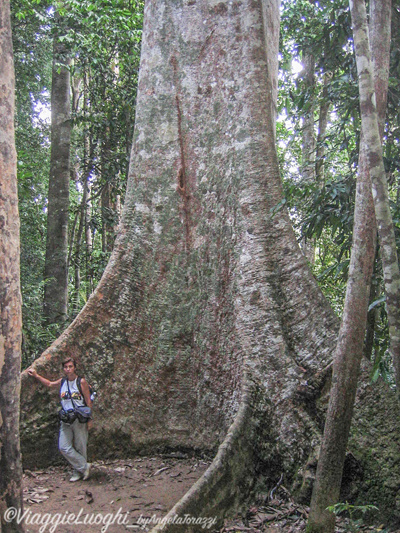 Malesia 2006 405 Taman Negara