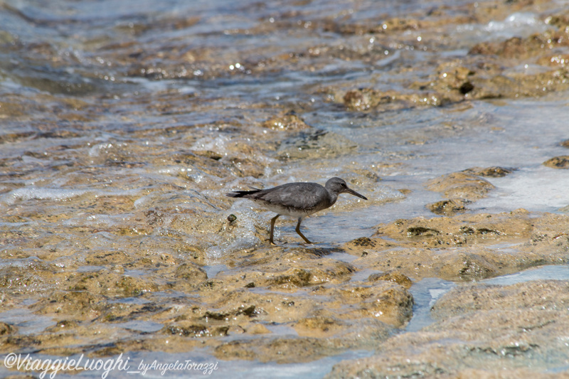 Rarotonga Isole Cook Oct 2023 – 0056