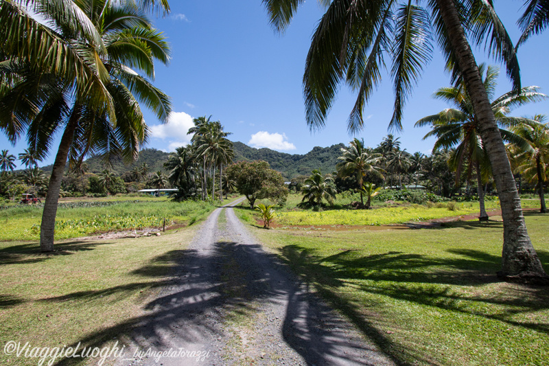 Rarotonga Isole Cook Oct 2023 – 0067