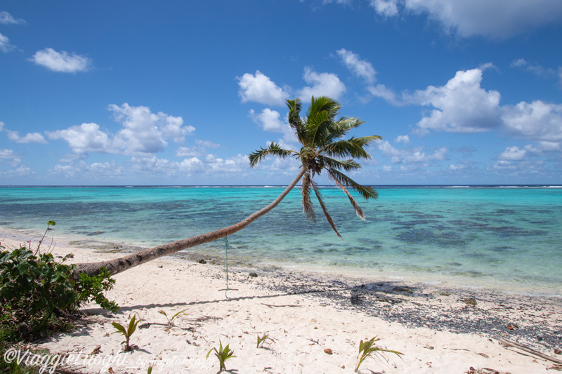 Rarotonga Isole Cook Oct 2023 – 0074