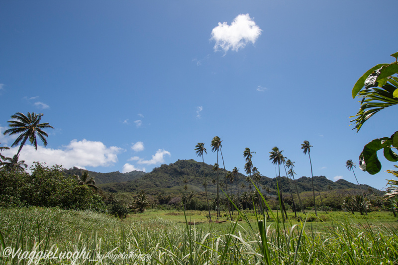 Rarotonga Isole Cook Oct 2023 – 0079