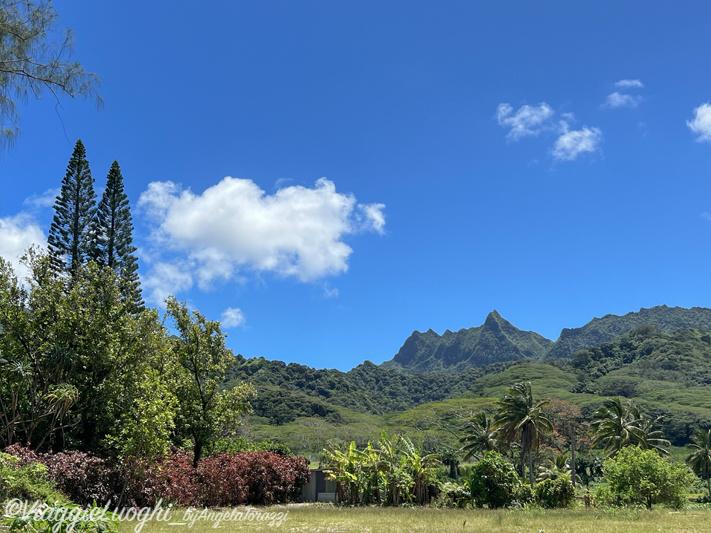 Rarotonga Isole Cook Oct 2023 – 0085