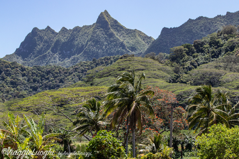 Rarotonga Isole Cook Oct 2023 – 0087