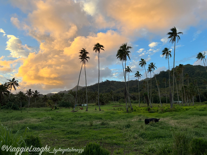 Rarotonga Isole Cook Oct 2023 – 0122p