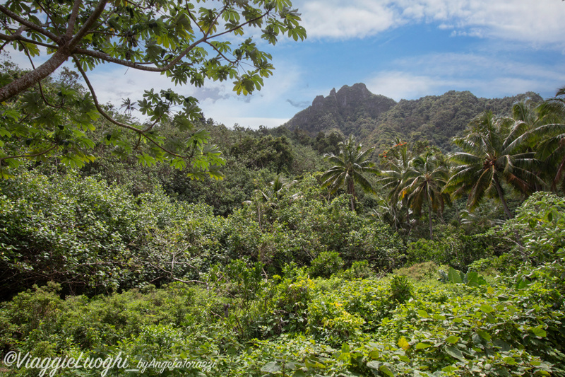 Rarotonga Isole Cook Oct 2023 – 0146c