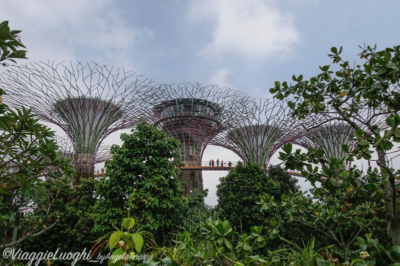 Singapore Aug 2019-321c