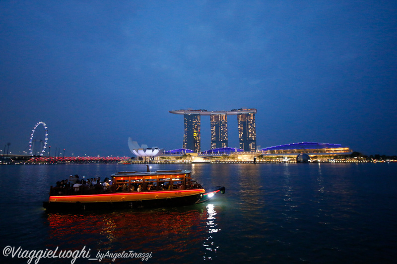 Singapore Aug 2019-68 (70)