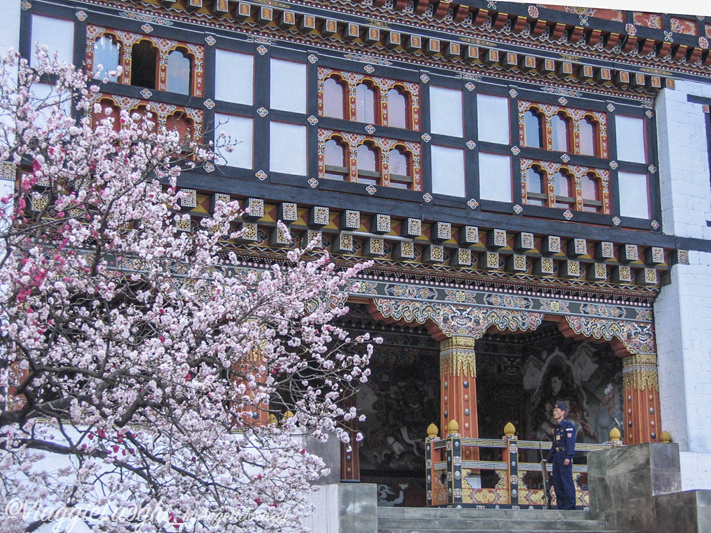 01 BHUTAN MARZO’08 175bTrashi Choe Dzong Thimpu.