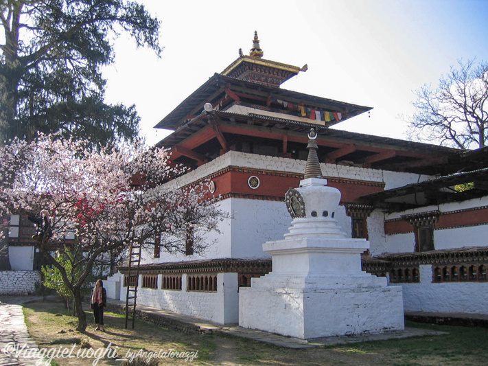 BHUTAN MARZO’08 037 Kychu Lhakhang Paro