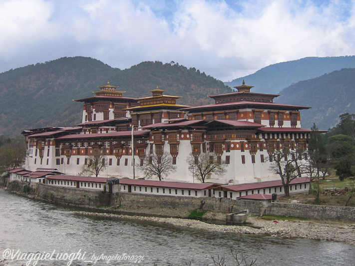 BHUTAN MARZO’08 055c Punaka Dzong 1