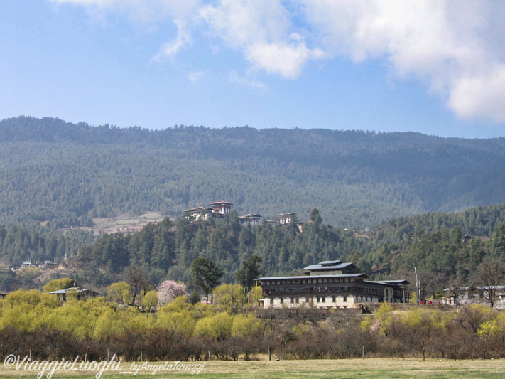 BHUTAN MARZO’08 097Jakara dzong