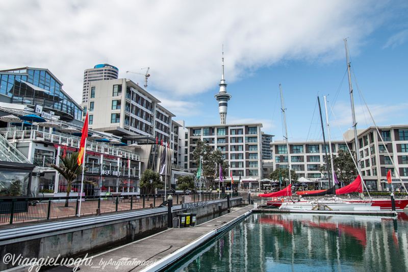 Nuova Zelanda Oct 2023 – 0259 Auckland