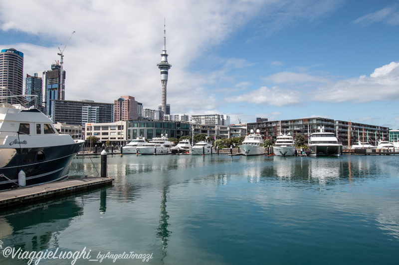 Nuova Zelanda Oct 2023 – 0272 Auckland