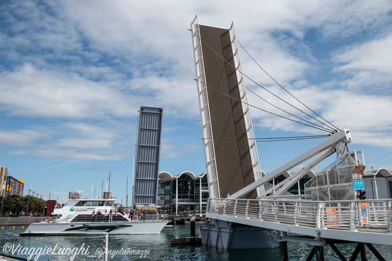 Nuova Zelanda Oct 2023 – 0277 Auckland