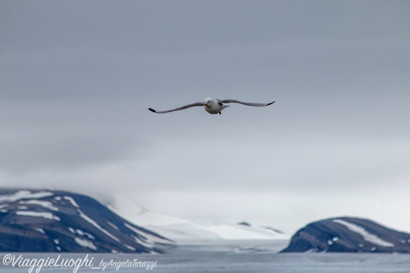 Svalbard Jul 2024 – 00308