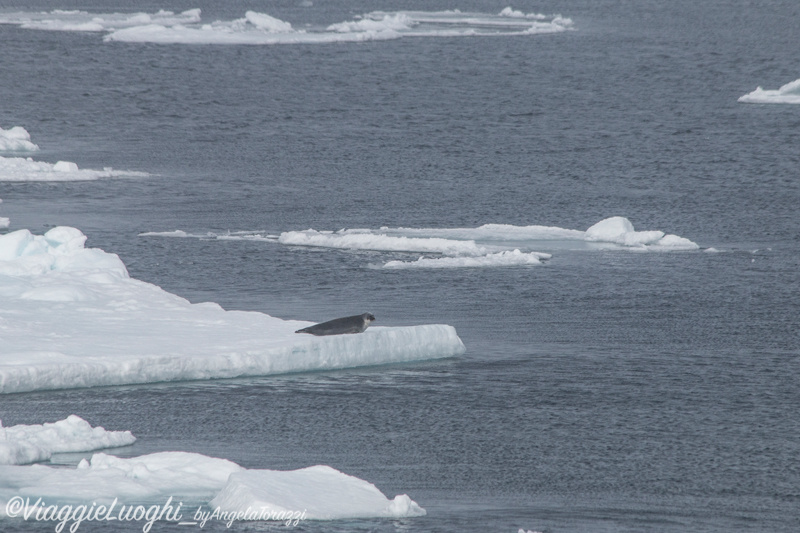 Svalbard Jul 2024 – 00743b Ice Pack