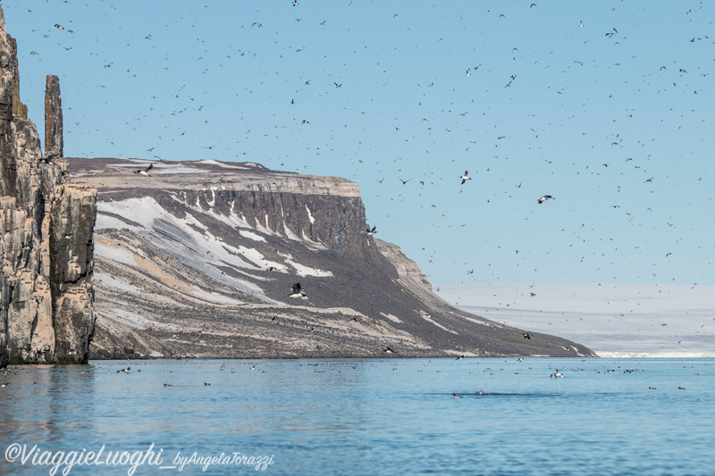 Svalbard Jul 2024 – 01447 Alkefjellet