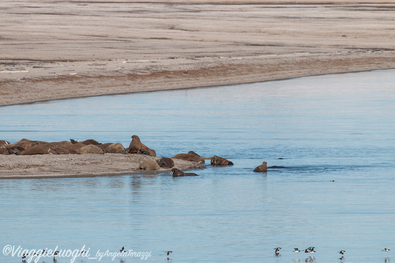 Svalbard Jul 2024 – 01767