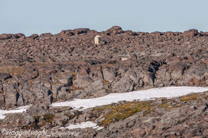 Svalbard Jul 2024 – 01934b