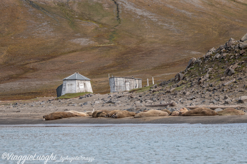 Svalbard Jul 2024 – 02365 Kapp Lee