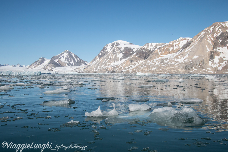 Svalbard Jul 2024 – 02757 Burgerbukta