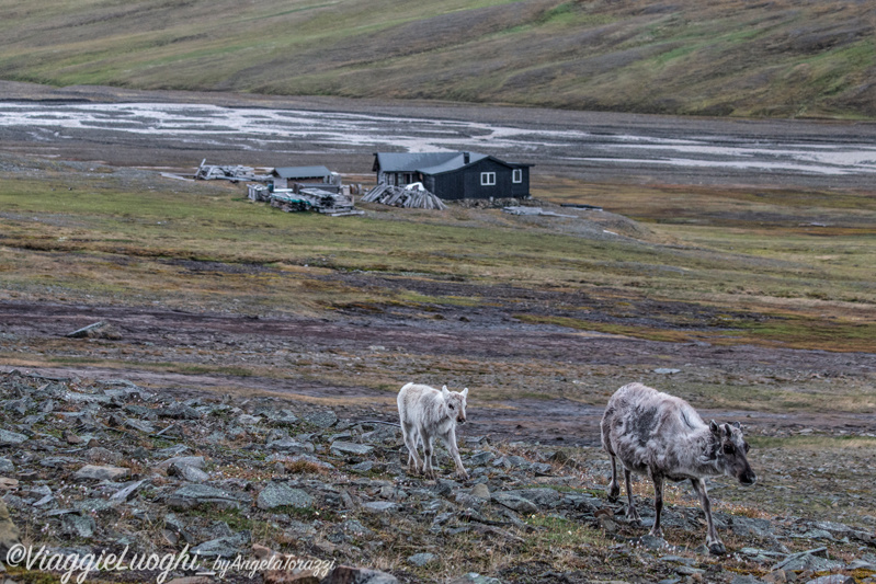 Svalbard Longyearbyen Jul 2024 – 00023